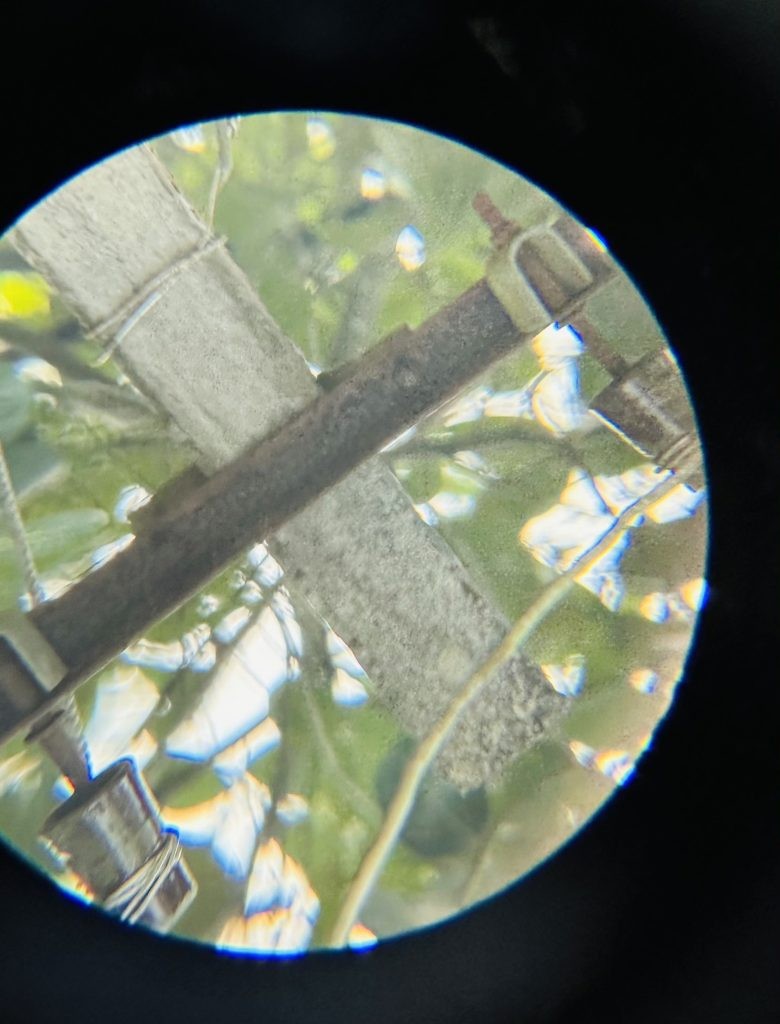 Close up view of the post through a high power eyepiece
