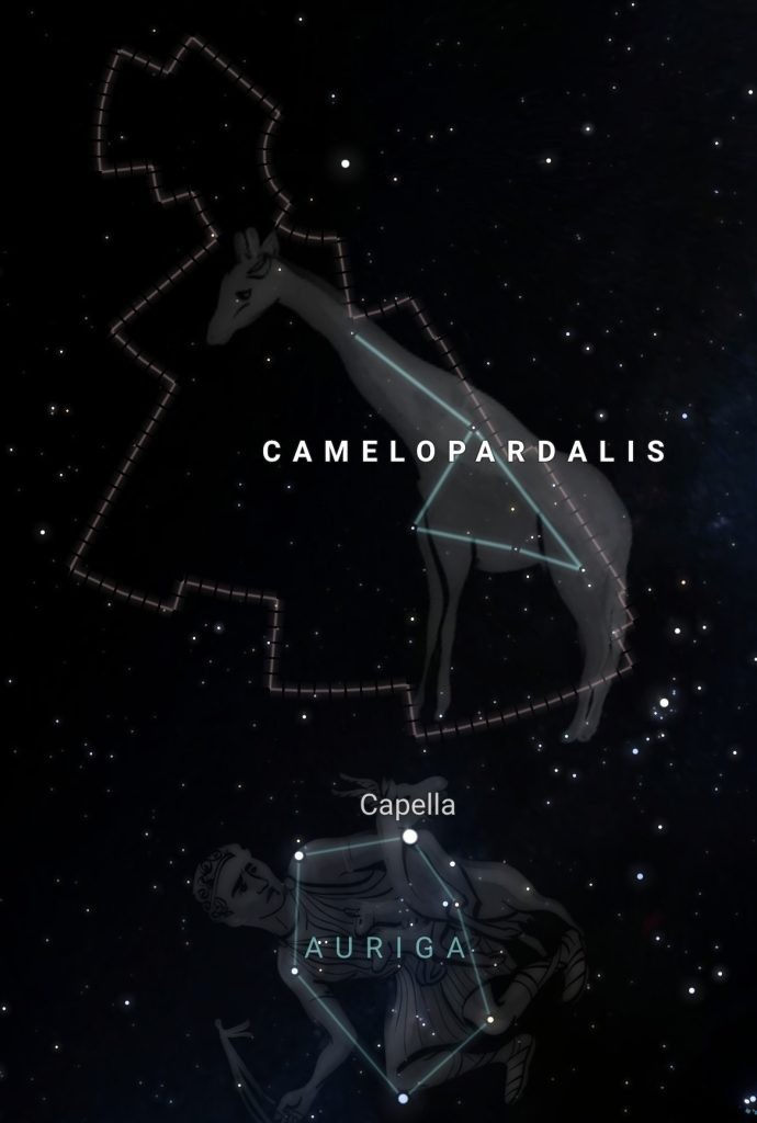 Location of Camelopardalis besides Auriga