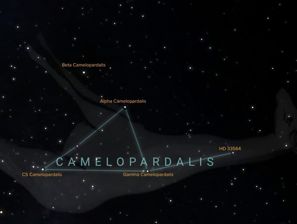 Important stars in the constellation